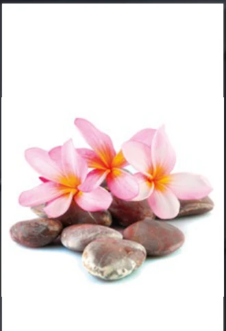 DAMLA 3D Zen Taşlı Plumeria dekoratif yüzey